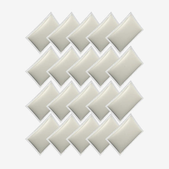 Clesana Super Absorber 20 Bags (C1 / X1)